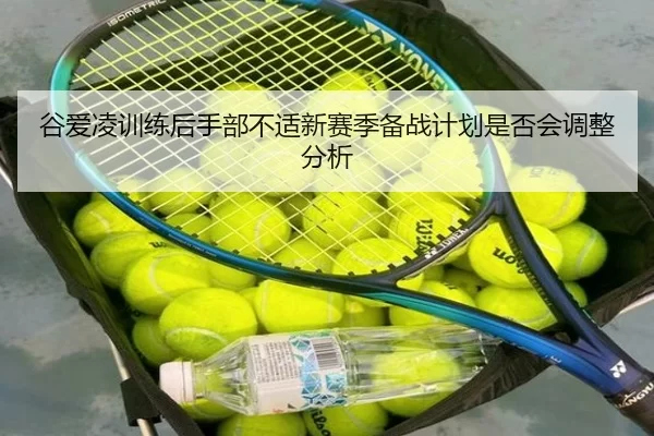 谷爱凌训练后手部不适新赛季备战计划是否会调整分析